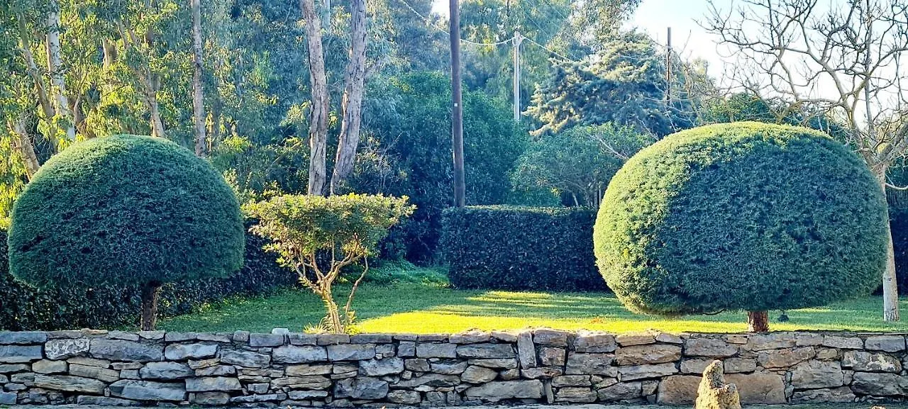 Sa Branda Costa Country Alghero 圣塔·马里亚·迪·帕尔玛