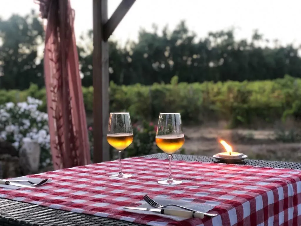 Sa Branda Costa Country Alghero 圣塔·马里亚·迪·帕尔玛 公寓